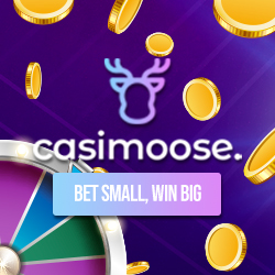 online-casino-canada-casimoose.ca